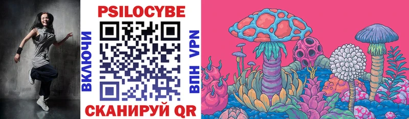 Псилоцибиновые грибы Psilocybine cubensis  как найти   Далматово 
